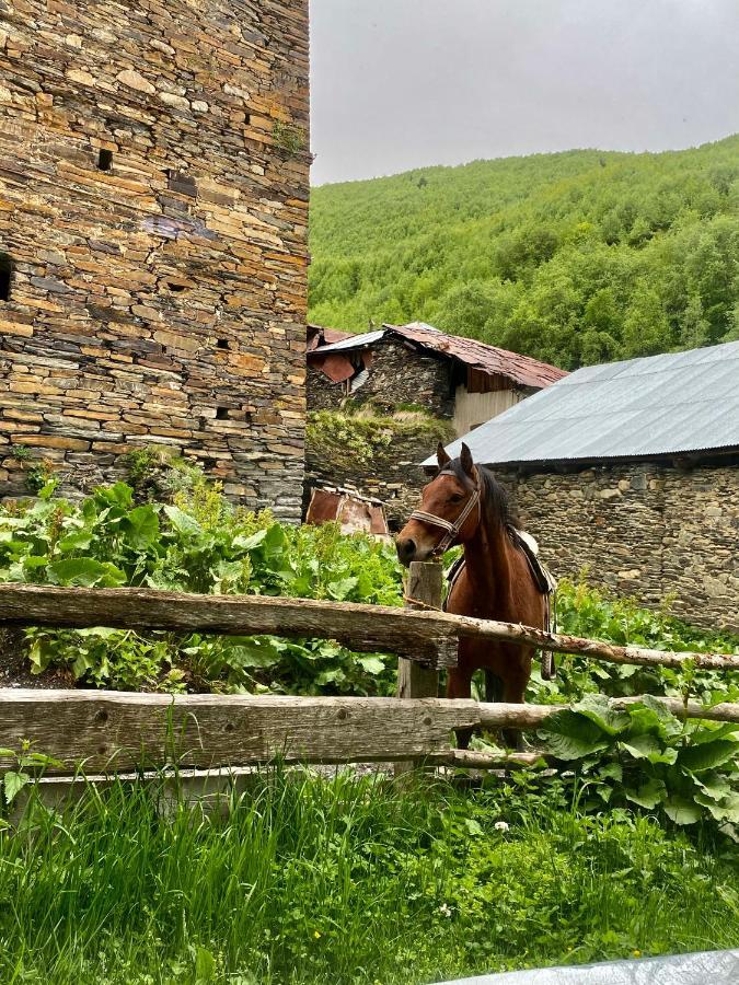 فندق Nizharadze'S Tower أوشغولي المظهر الخارجي الصورة